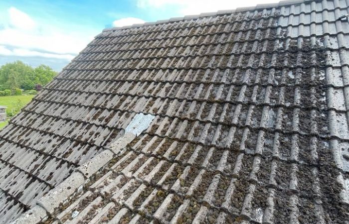 dachreinigung 1 - vorher