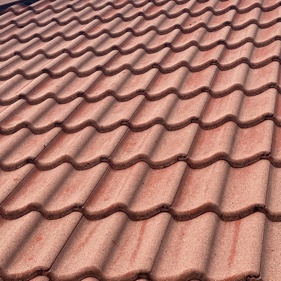Nahaufnahme eines Dachs nach der professionellen Reinigung