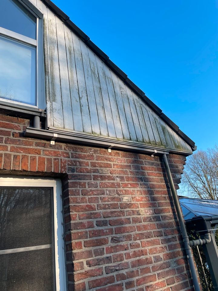 Fassade vor der Reinigung mit Verunreinigungen und Moos auf der Holzverkleidung