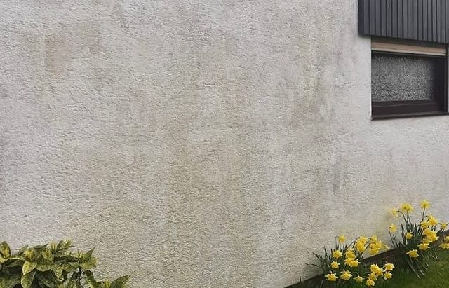 fassadenreinigung 1 - vorher