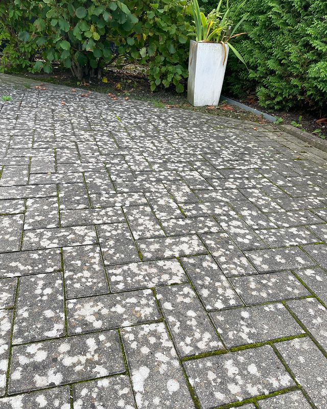 Terrassenfläche vor der Reinigung mit starken Flechten- und Schmutzablagerungen