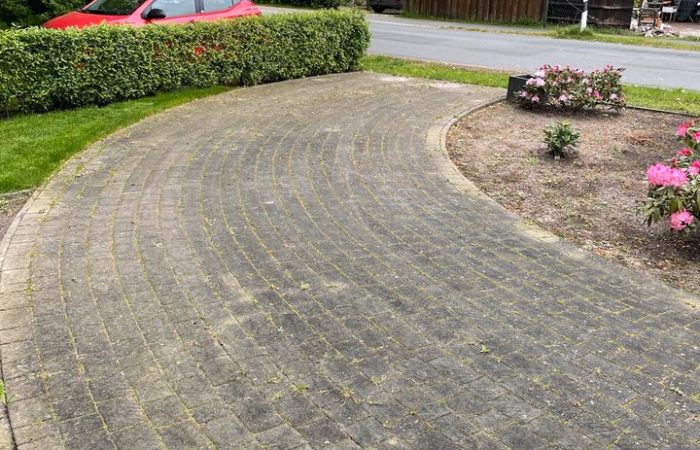 pflasterreinigung 1 - vorher