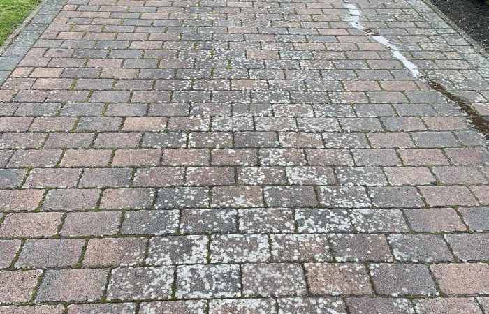 pflasterreinigung 7 - vorher