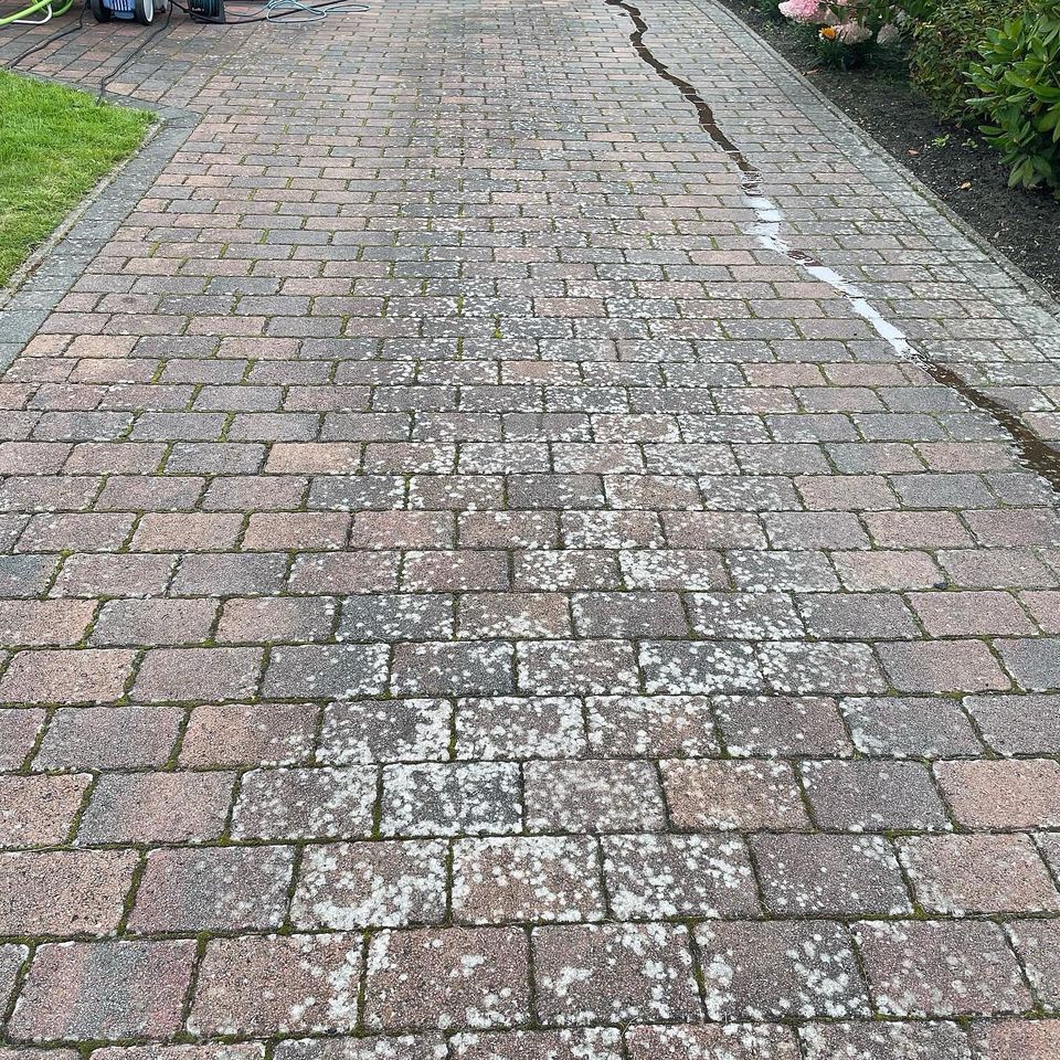 Pflasterfläche vor der Reinigung mit deutlichen Moos- und Flechtenablagerungen, ungleichmäßige Verschmutzung sichtbar