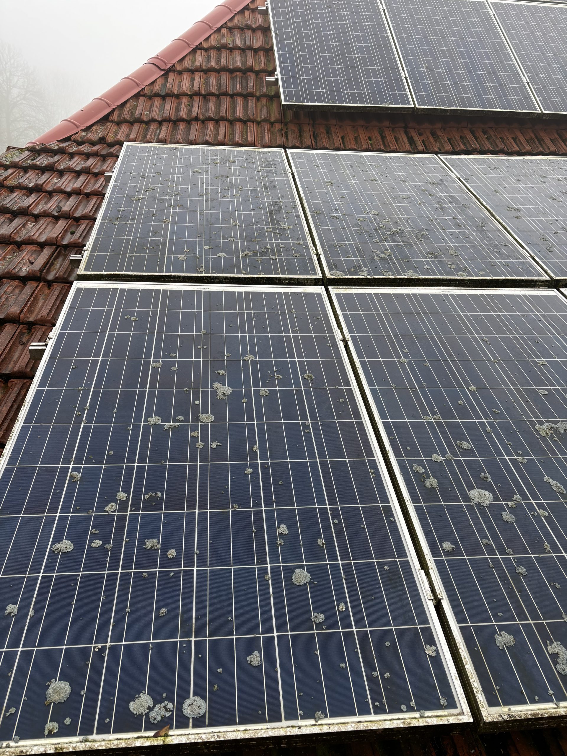 Verschmutzte Solarmodule auf einem Dach vor der Reinigung, mit Staub- und Schmutzablagerungen